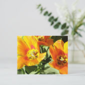 Carte Postale La conception florale de Stacey (Debout devant)