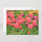 Carte Postale La conception florale de Stacey (Devant / Derrière)