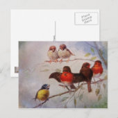 Carte Postale La conversation (Devant / Derrière)
