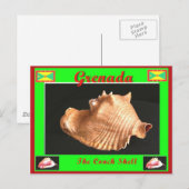 Carte Postale La coque de conque (Devant / Derrière)