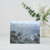 Carte Postale La côte de l'île Catalina (Debout devant)