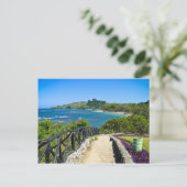 Carte Postale La côte dominicaine (Debout devant)