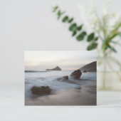 Carte Postale La côte du Big Sur (Debout devant)