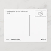 Carte Postale La côte hawaïenne au coucher du soleil (Dos)