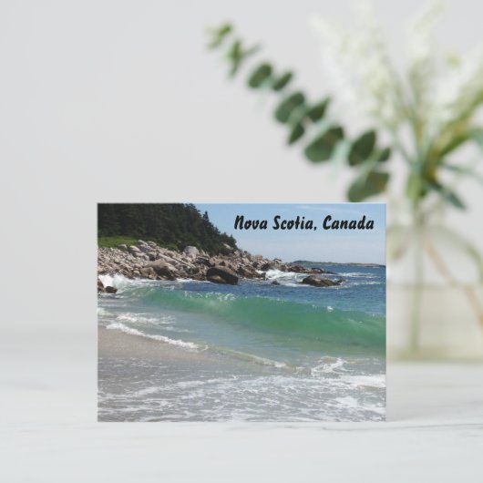 Carte Postale La côte rocheuse (Debout devant)