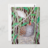 Carte Postale La Coucou Commune (Devant / Derrière)