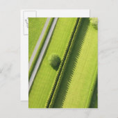 Carte Postale La couverture dans les Hamptons (Devant / Derrière)