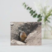 Carte Postale La créature des rongeurs émerge (Debout devant)