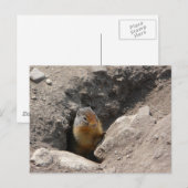 Carte Postale La créature des rongeurs émerge (Devant / Derrière)