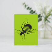 Carte Postale La Cucaracha (Debout devant)
