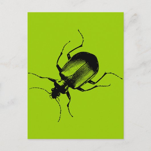 Carte Postale La Cucaracha (Devant)