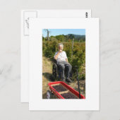 Carte Postale La cueillette d'Olallieberries en Californie du No (Devant / Derrière)