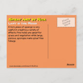 Carte Postale La dame dans la lune (Dos)