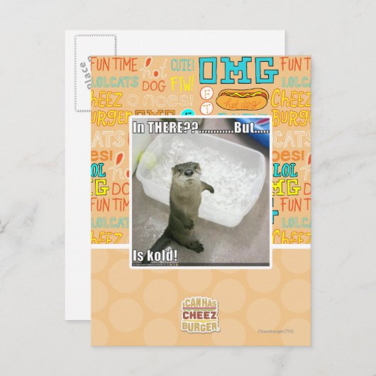 Carte Postale Là-dedans ? C'est froid ! (Devant / Derrière)