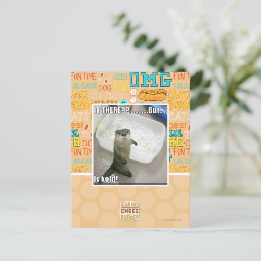 Carte Postale Là-dedans ? C'est froid ! (Debout devant)