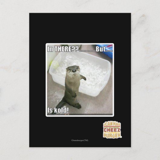 Carte Postale Là-dedans ? Est Kold ! (Devant)