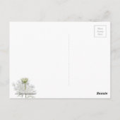 Carte Postale La dentelle de la reine Ann (Dos)