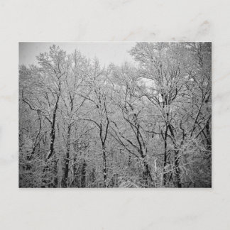 Carte Postale La dernière respiration de l'hiver