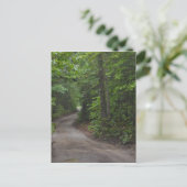 Carte Postale La Dirt Road en été (Debout devant)
