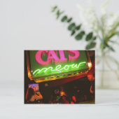Carte Postale La discothèque Meow du chat à la Nouvelle-Orléans (Debout devant)