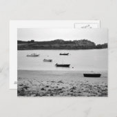 Carte Postale La Douceur du matin (Devant / Derrière)