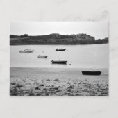 Carte Postale La Douceur du matin (Devant)