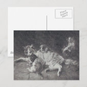 Carte Postale La famille des chats (Devant / Derrière)
