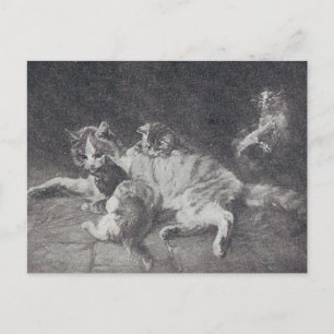 Carte Postale La famille des chats