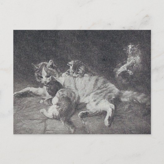 Carte Postale La famille des chats (Devant)
