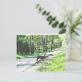 Carte Postale la faune dans les fumées #72 (Debout devant)