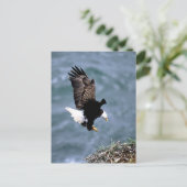 Carte Postale La faune de l'Alaska (Debout devant)