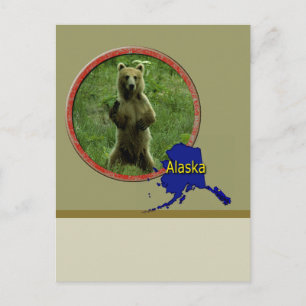 Carte Postale La faune de l'Alaska