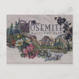 Carte Postale La faune du parc national Yosemite