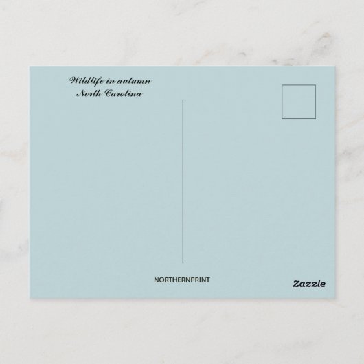 Carte Postale La faune en automne en Caroline du Nord (Dos)