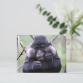 Carte Postale La faune mignonne (Debout devant)