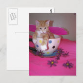 Carte Postale La fée de la tasse de thé (Devant / Derrière)