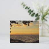 Carte Postale La fenêtre de la nature (Debout devant)