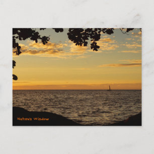 Carte Postale La fenêtre de la nature