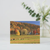 Carte Postale La ferme du Mont Holyoke à l'automne (Debout devant)