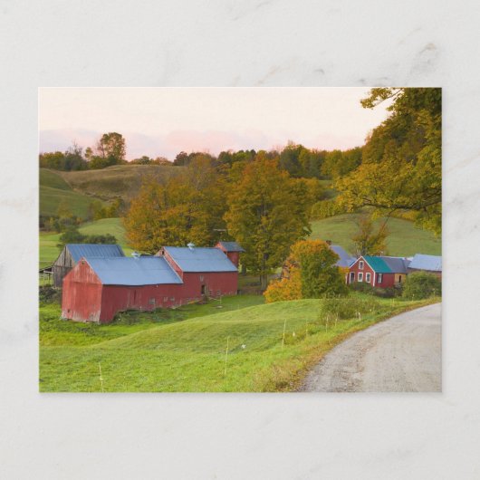 Carte Postale La ferme Jenne à Woodstock, Vermont. Chute. (Devant)