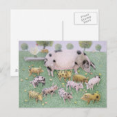 Carte Postale La fête des pommes (Devant / Derrière)