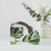 Carte Postale La feuille verte Sava la planète (Debout devant)