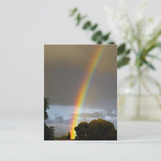 Carte Postale La fin de Rainbow (Debout devant)