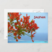 Carte Postale La Flamme De Saipan S'Éclate Sur Un Océan Bleu (Devant / Derrière)