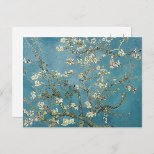 Carte Postale La fleur des amandes de Vincent van Gogh (Devant / Derrière)