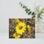 Carte Postale La Fleur et l'abeille (Debout devant)