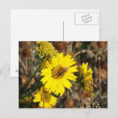 Carte Postale La Fleur et l'abeille (Devant / Derrière)