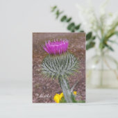 Carte Postale La fleur nationale de l'Ecosse (Debout devant)