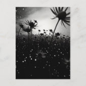 Carte Postale La floraison cosmique dans les étoiles (Devant)