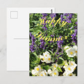 Carte Postale La floraison de la lavande et du bégonium (Devant / Derrière)